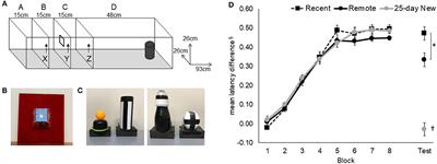 The thalamic reuniens is associated with consolidation of non-spatial memory too